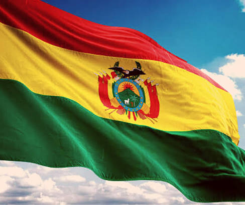 Bandera Tricolor 50x70cm