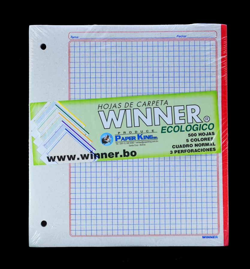 Hojas de carpeta 5 colores 500hjs Winner