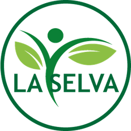 Transporte y otros servicios